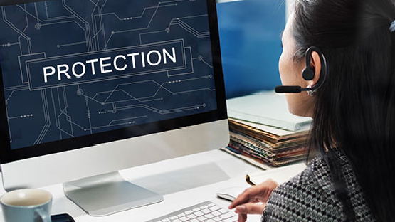 Security Consultant